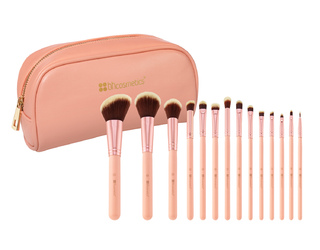 BH Chic 14 piece brush set with case