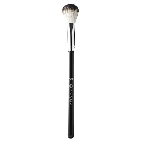 Anastasia beverly hills brush 23