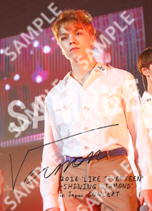 (Size 2L) - SEVENTEEN Shining Diamonds in Japan Photo (Vernon)