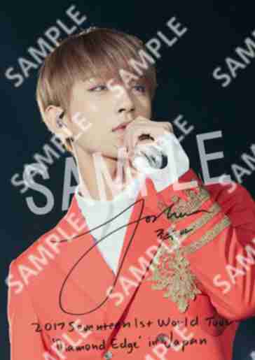 SEVENTEEN Diamond Edge - Joshua (L)