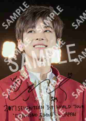 Diamond Edge SEVENTEEN - Wonwoo (L)