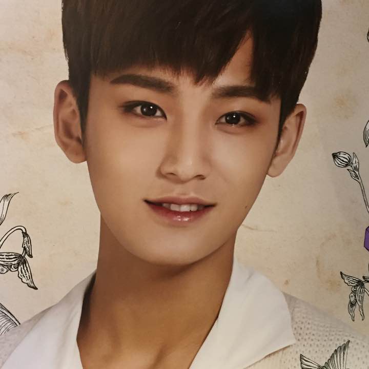 Mingyu caratland poster