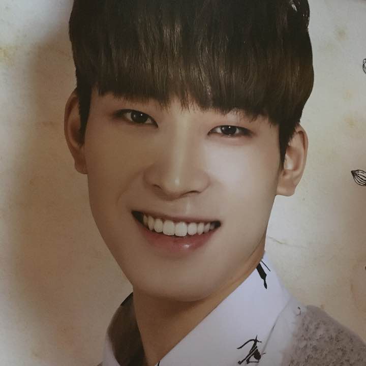 Wonwoo Caratland poster