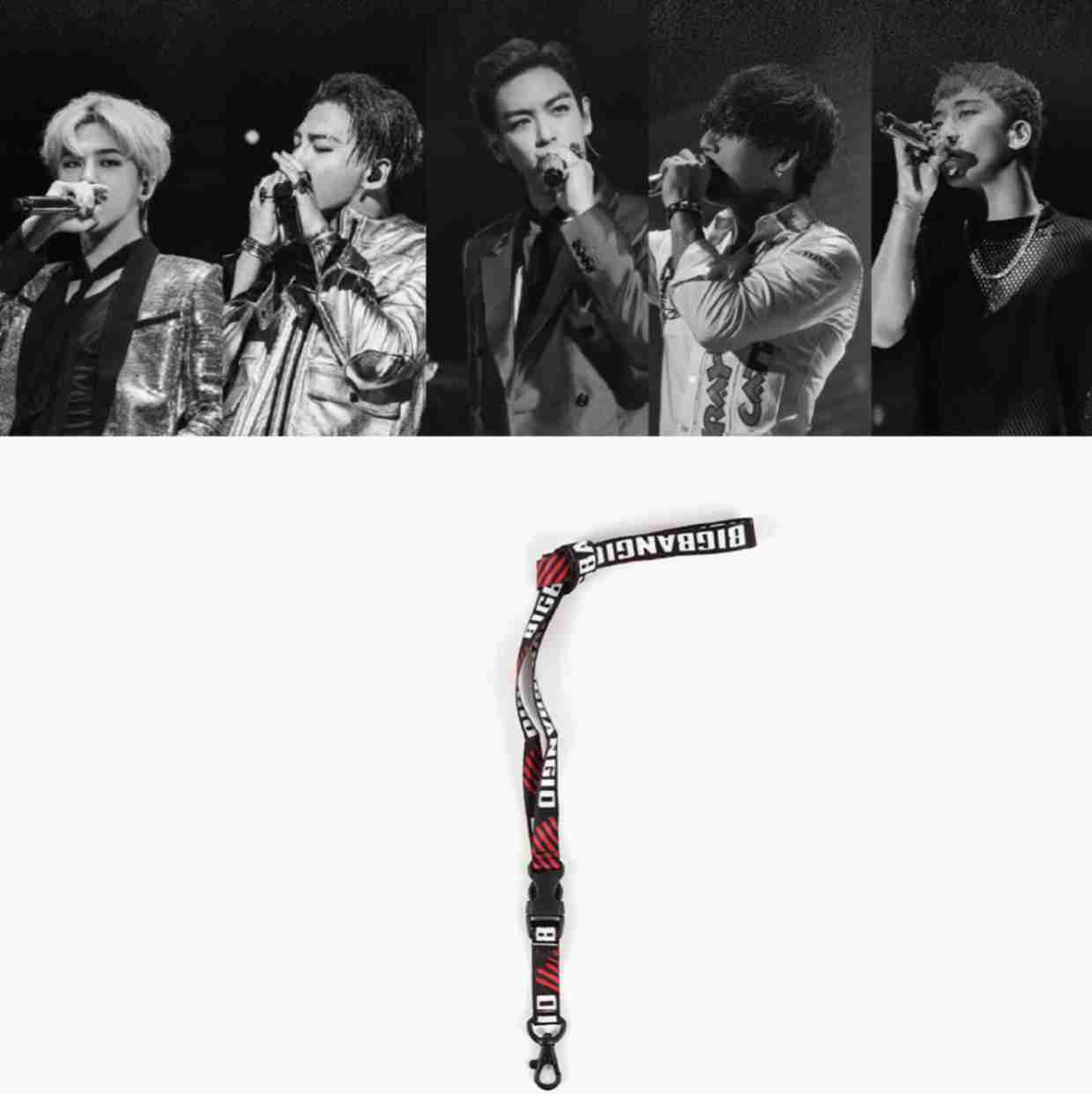 Lanyard