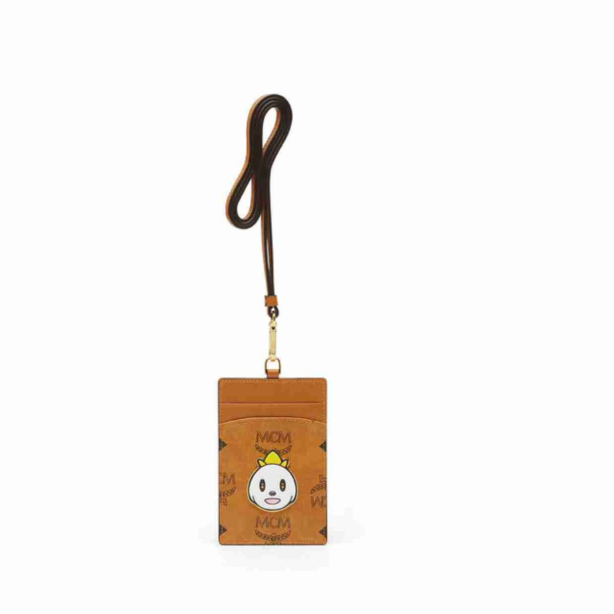 pass holder