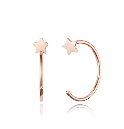 Earrings ER002