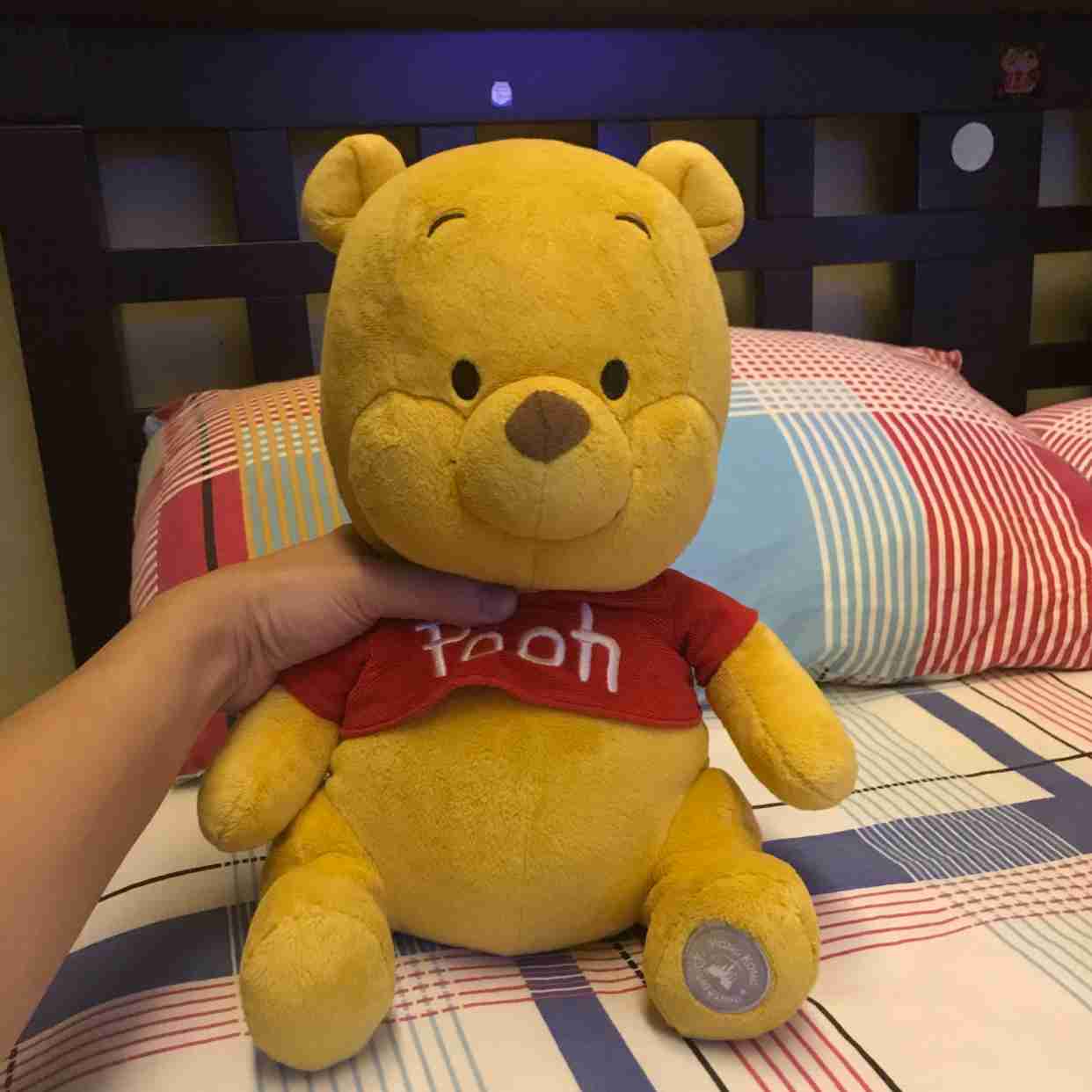 disneyland winnie the pooh plush