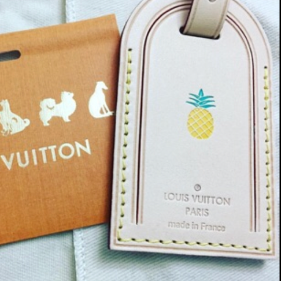 Pineapple hot stamp