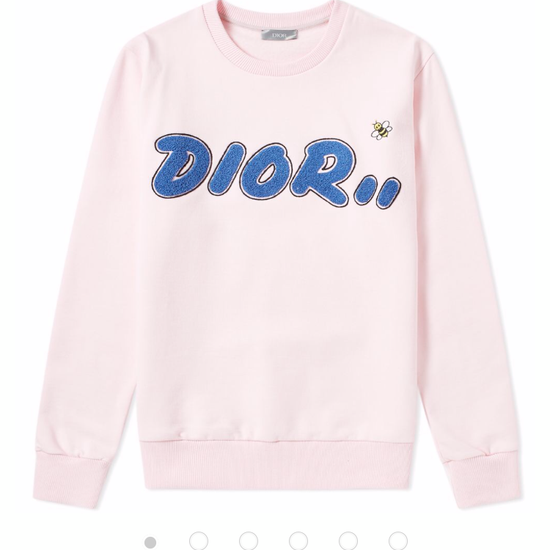 DIOR HOMME X KAWS TOWELLING BEE CREW SWEAT