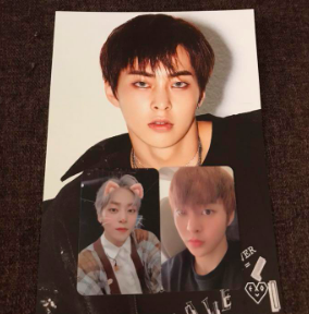 Photocart set