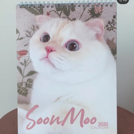 cat calendar 2020