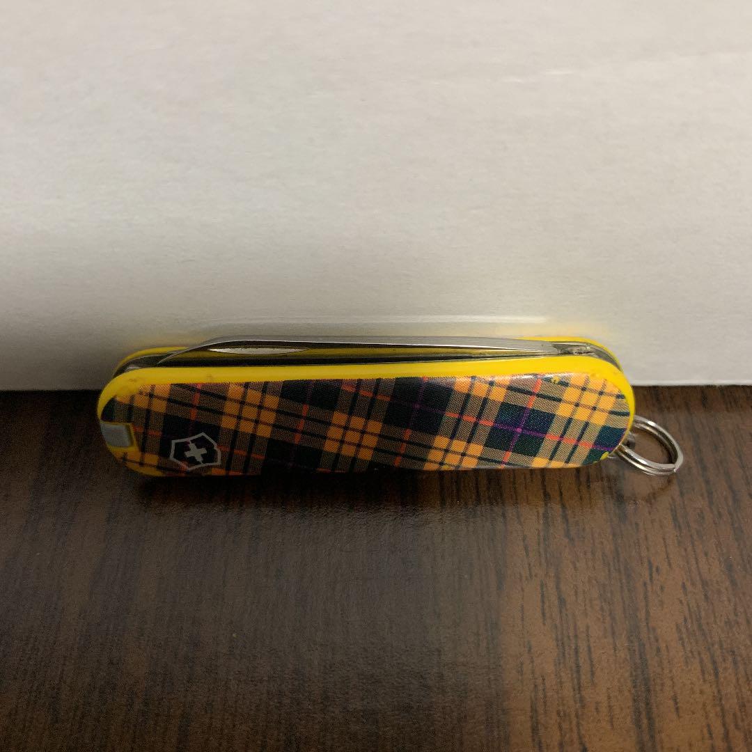 Scott Yellow