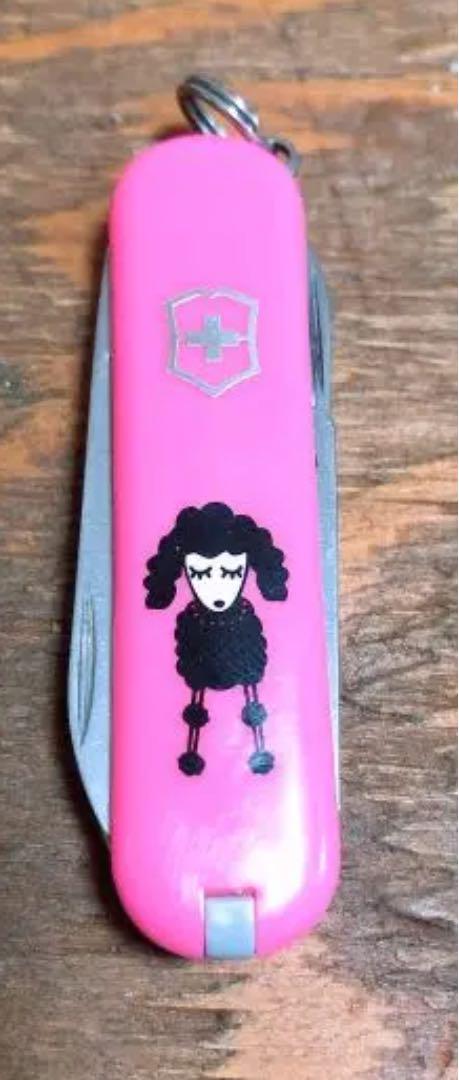 Poodle