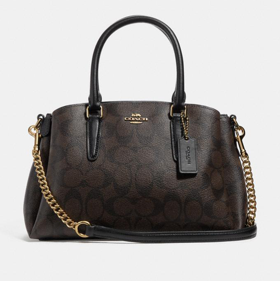 Mini Sage Carryall In Signature Canvas