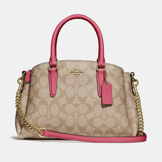 Mini Sage Carryall In Signature Canvas