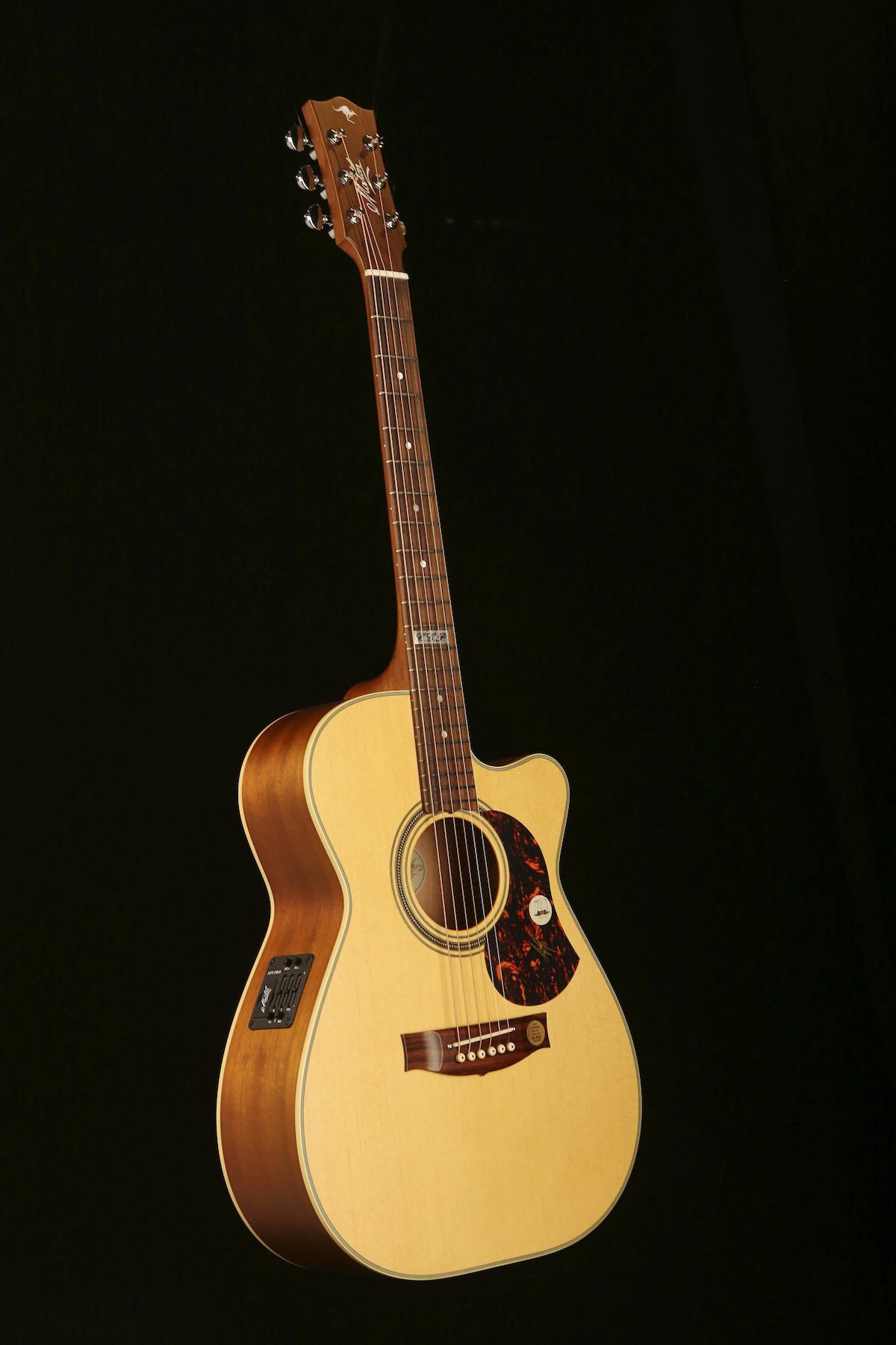 EBG808C-TE 'Tommy Emmanuel' Acoustic Electric Guitar