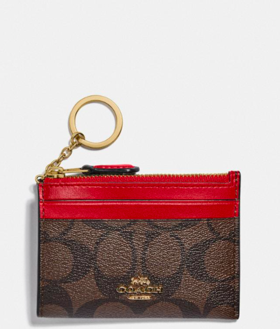 Mini Skinny Id Case In Signature Canvas F88208 IML72