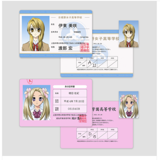 [Brilliant] Heisei pretty girl photo card business card set (2 types/choose 1)