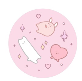 pop socket