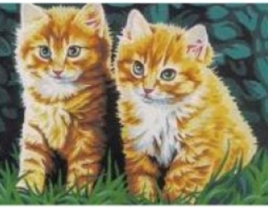 Ginger cats