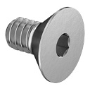 Flat Head Screw